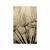 Plakat semena regrata v sepia varianti - 40x60 white