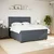 Vidaxl Box spring postelja z vzmetnico temno siva 180x200 cm žamet