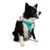 Paws & Whiskers Am za pse Air-Mesh, Svetloplavi