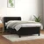 Vidaxl Box spring postelja z vzmetnico črna 100x200 cm žamet