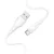 BOROFONE podatkovni kabel BX18 Type C na Type C 2m 1,6A bel