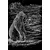 Royal & Langnickel Scratch-off slike v bloku Divje živali Severne Amerike