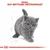 Royal Canin British Shorthair Kitten hrana za mačiće 2kg