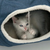 Catit Tunel Vesper - Siva