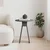 Livetastic Mizica Chen, Antracit