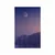 Plakat polna luna nad vasico - 30x45 white
