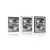 Plakat s paspartujem dva retro fotoaparata v črnobeli varianti - 20x30 silver