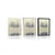 Plakat drevesa v megli - 40x60 black