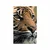 Plakat bengalski tiger - 60x90 silver