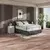 Boxspring Krevet Nobu 140/200 cm , antracit