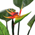 vidaXL Umetna rastlina strelicija/rajska ptica 155 cm