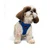 Paws & Whiskers Am za pse Air-Mesh, Plavi