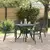 Vrtna stolica 4 pcs Antracit 56 x 65 x 89 cm Čelik