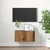 Vidaxl Komplet TV omaric Rjava 60 x 30 x 30 cm Konstruiran les