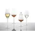 Zwiesel Glas kozarca za šampanjec ALLORO, prostornina 0,366 l, set 2 kosov