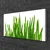 tulup.si Slika na platnu Grass on wall 100x50 cm