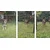 Rebel Modularni kavez ogradica za pse Animals RA-1206, 80x60 cm, Crni