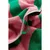 Zelena/rožnata bombažna brisača 50x70 cm Waves – Jotex