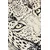 Conceptum Hypnose Tepih Tiger, O100cm, Šareni