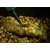 shumee Tandem Baits SuperFeed Diffusion Carp Booster 100ml Fish&Robin Red