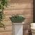 Vrtna saksija 5 pcs Maslinasto zelena 40 x 40 x 15 cm