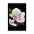 Plakat zen kamni in orhideja - 40x60 black