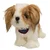 Interaktywny chodzšcy pies Shih-Tzu