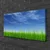 tulup.si Slika na platnu Sky grass nature rastlin 100x50 cm