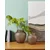Eglo living staklena vaza, braon Asindro 421208