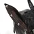Čepica s šiltom DEVIL FASHION - Junkyard Hound - AS280