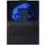 Laptop Lenovo Thinkpad T16 G4, Ultra 7 255U, 64GB, 1TB, Windows 11 Pro