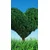 Tapeta drevo v obliki srca - 147x270