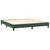 Vidaxl Box spring postelja z vzmetnico temno zelena 160x200 cm žamet