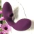 InToYou Rush Nova Vibrator and Clitoral Stimulator Purple