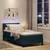 Vidaxl LED Box Spring Postelja z LED Temno zelena 90 x 190 cm Žamet