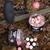 Boili Dynamite Baits Peppered Fruit Fluo Popup 15mm
