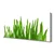 tulup.si Slika na platnu Grass on wall 125x50 cm
