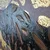 Slika Wallity OPG1972733537, 140x140 cm