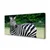 tulup.si Slika na platnu Zebra polje 125x50 cm
