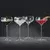 Kozarec coupe HI-LITE 238 ml, set 2 kosov, Spiegelau