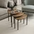Hanah Home Set klub stolova, 3 komada Lenny Orah