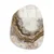 Wallity Slika UV-1101, 50 x 70 cm