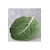 Boltze  Servirni krožnik  Cabbage 22,5 cm