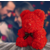 Medvedek iz vrtnic LOVEBEAR