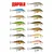 Vobler Rapala CountDown CD-11