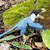 Safari Utahraptor dinozaver 2024