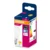 Ledvance Osram LED filament sijalica fros. P60 4000K 7W E14 ( 4099854568169E )