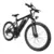 ADO električni bicikl A DECE OASIS A26+, crna