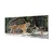 tulup.si Steklena slika Tiger jungle 140x70 cm 4 obešalnika