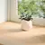 Prozorske klupice 2 kom 110x15x2 cm netretirane masivne hrast